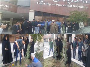 کاشت نهال در دانشکده پرستاری و مامایی دانشگاه علوم پزشکی شهید بهشتی  